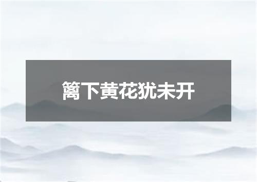 篱下黄花犹未开