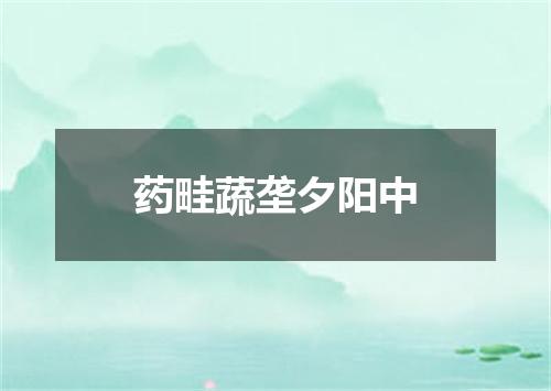 药畦蔬垄夕阳中