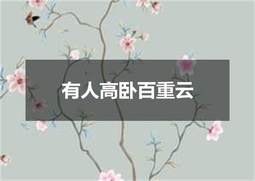 有人高卧百重云