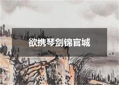 欲携琴剑锦官城