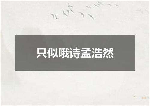 只似哦诗孟浩然