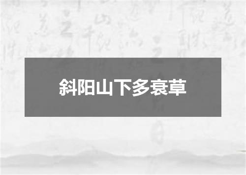 斜阳山下多衰草