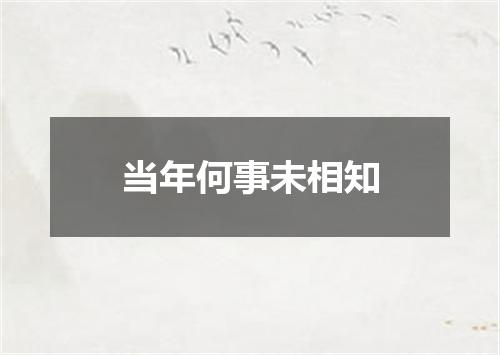 当年何事未相知
