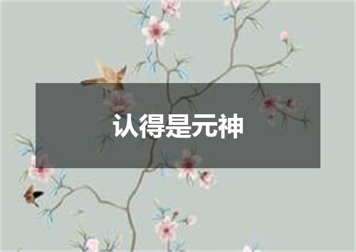 认得是元神