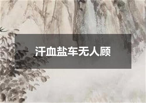 汗血盐车无人顾