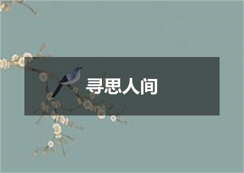 寻思人间