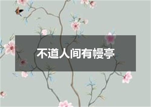 不道人间有幔亭