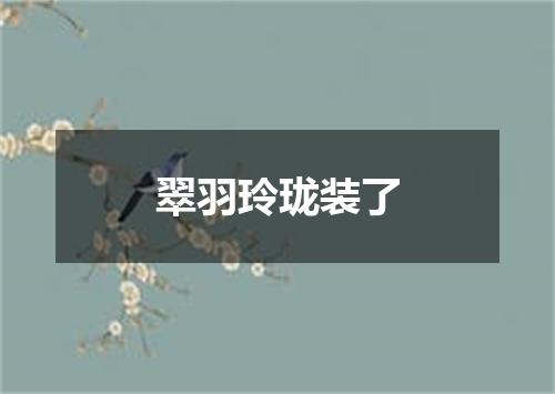 翠羽玲珑装了