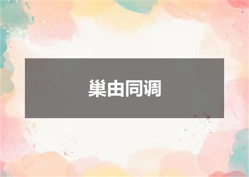 巢由同调