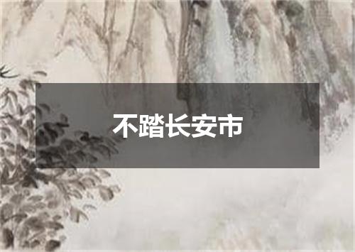不踏长安市