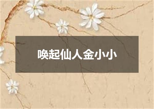 唤起仙人金小小