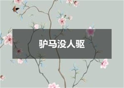 驴马没人驱
