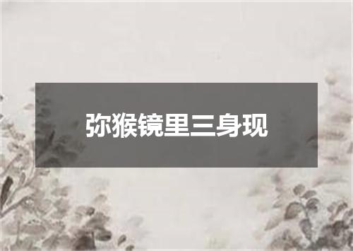 弥猴镜里三身现