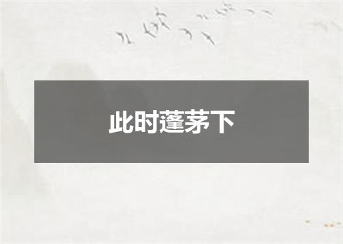 此时蓬茅下