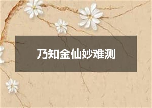 乃知金仙妙难测