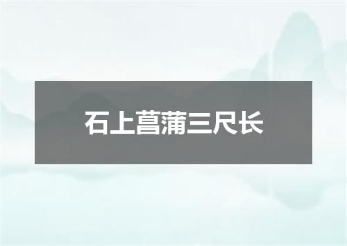 石上菖蒲三尺长
