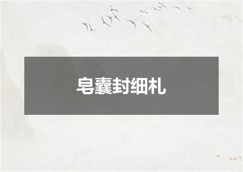 皂囊封细札