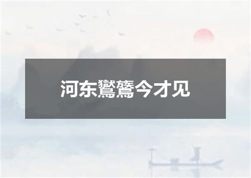 河东鸑鷟今才见