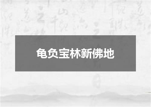 龟负宝林新佛地