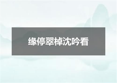 缘停翠棹沈吟看