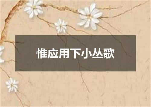 惟应用下小丛歌