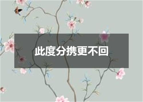 此度分携更不回