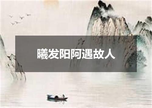 曦发阳阿遇故人