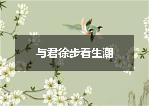 与君徐步看生潮