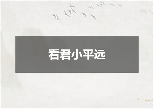 看君小平远