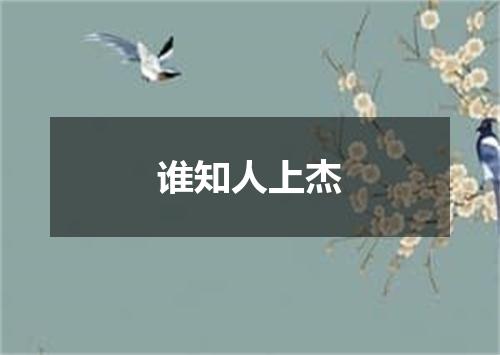 谁知人上杰