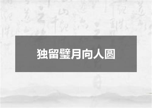 独留璧月向人圆