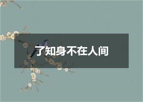 了知身不在人间