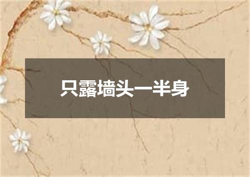 只露墙头一半身