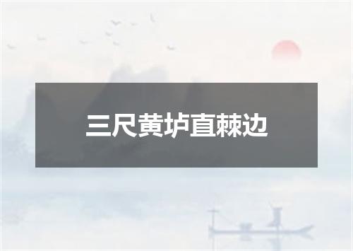 三尺黄垆直棘边