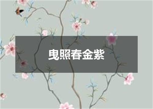 曳照春金紫