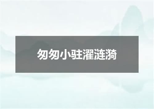 匆匆小驻濯涟漪