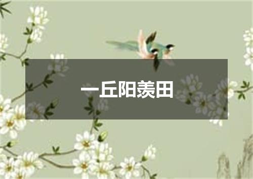 一丘阳羡田