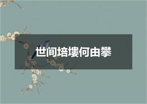 世间培塿何由攀