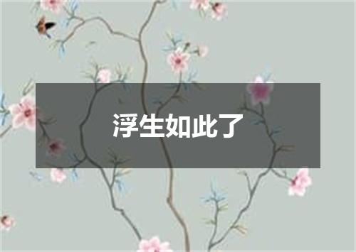 浮生如此了
