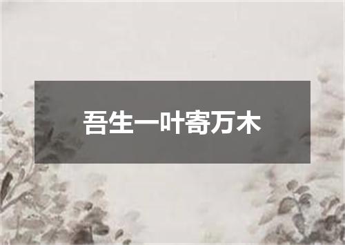 吾生一叶寄万木