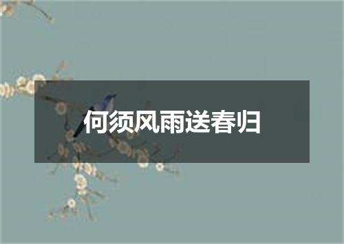 何须风雨送春归