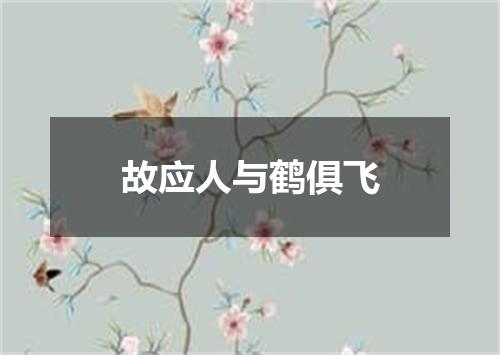 故应人与鹤俱飞
