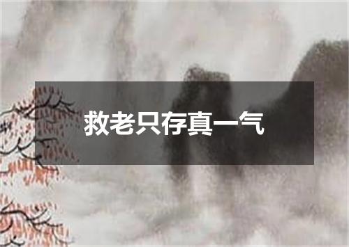 救老只存真一气