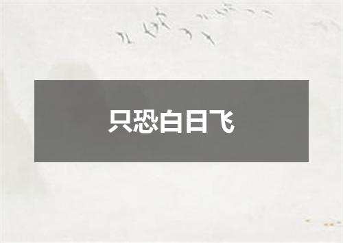 只恐白日飞