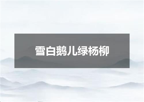 雪白鹅儿绿杨柳