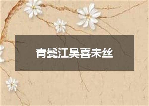 青鬓江吴喜未丝