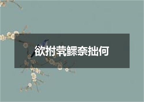 欲拊茕鳏奈拙何