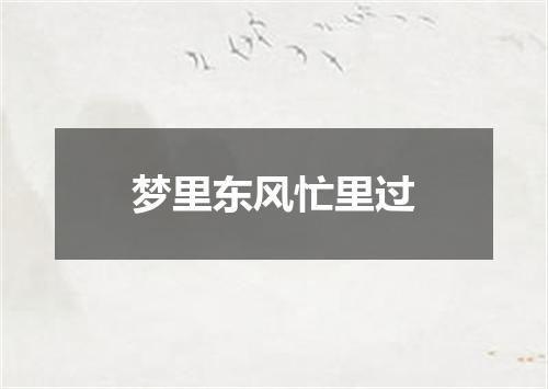 梦里东风忙里过