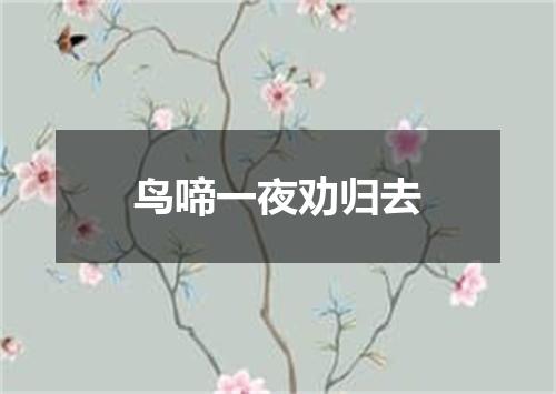 鸟啼一夜劝归去