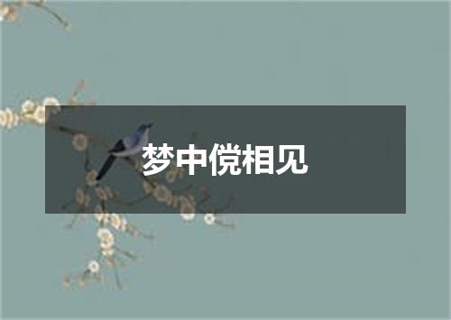 梦中傥相见
